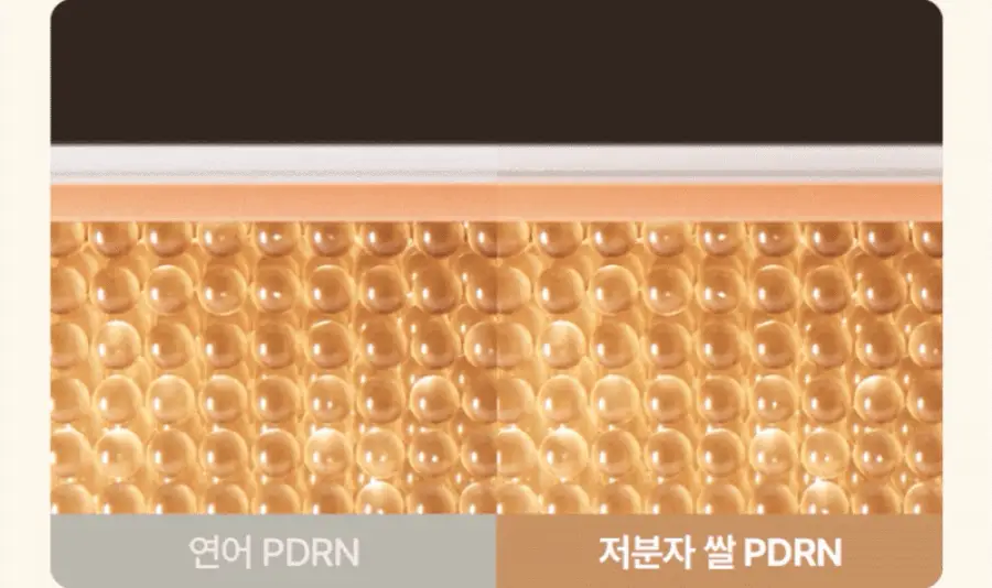 [동안광채] 풀리 쌀 PDRN 광채 세럼 50ml 상세페이지 14